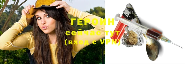 прущие грибы Порхов