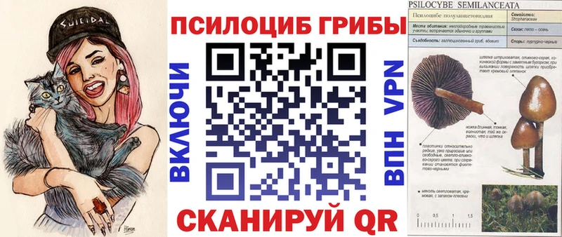 Галлюциногенные грибы Psilocybine cubensis Борисоглебск