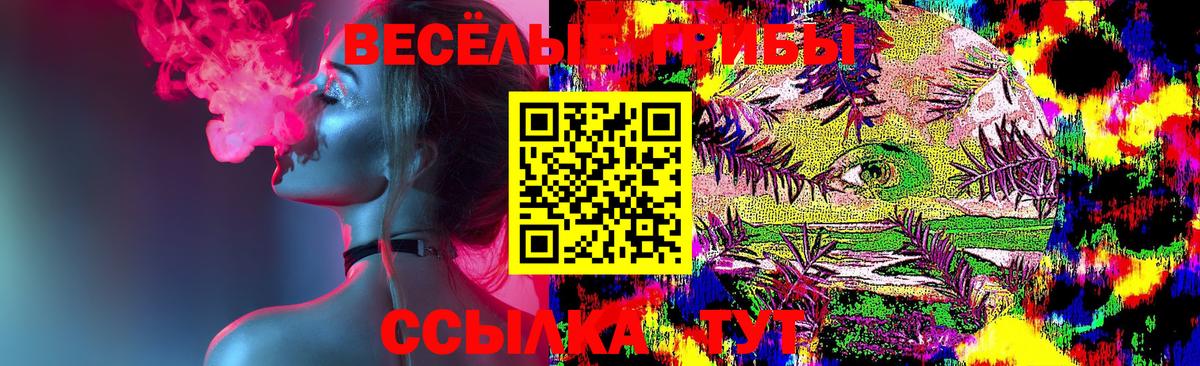 Борисоглебск  дарнет шоп  Вход с VPN  Псилоцибиновые грибы Psilocybine cubensis 