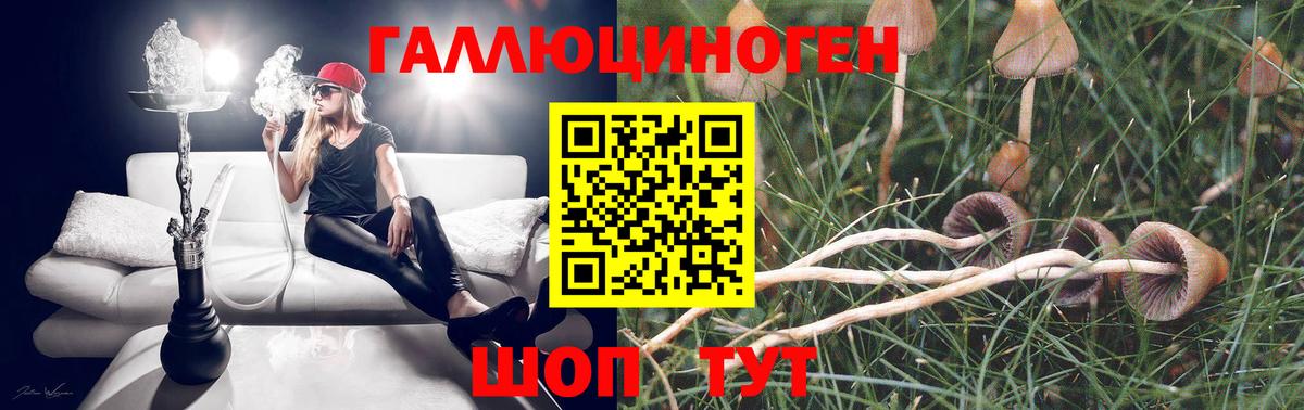 Псилоцибиновые грибы GOLDEN TEACHER Борисоглебск