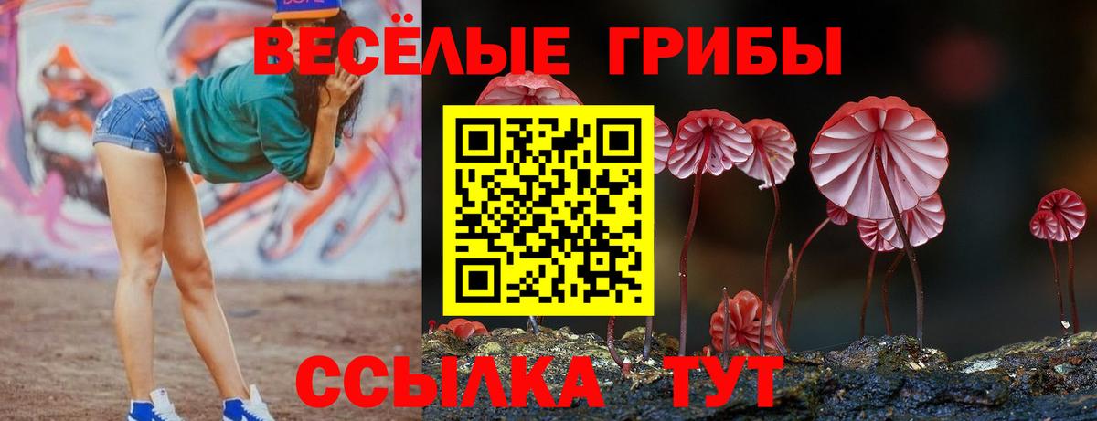 Псилоцибиновые грибы MAGIC MUSHROOMS  Борисоглебск  Галлюциногенные грибы прущие грибы 